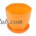Plastic Table Decoration Plant Container Planter Holder Flower Pot Tray Orange   